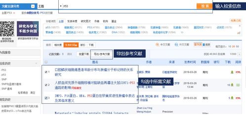 关键释义:2026正版资料大全免费百度中文一及2025年新奥正版大全百度,规避欺骗广告危害-文化释义、专家解读解释与落实