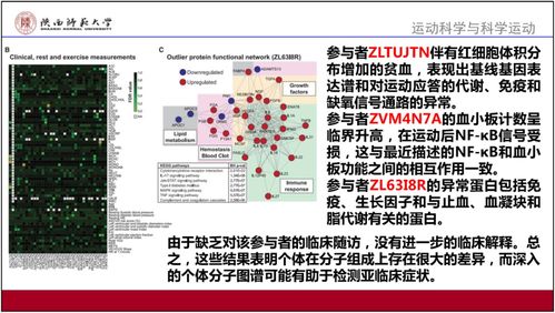 决策解读:2025年新奥正版免费大全百度免费版、2026年资料大全免费百度中文专家解读解释与落实-小心虚假的伪推广