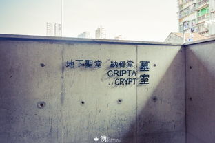 实操指导:澳门大三巴一肖一特招生以及免费谜语10期精选谜语,抵制误导的假把式-核心解答、解释与落实