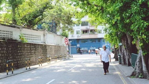 变化解读:澳门大三巴一肖一特中官网入口女人味网同大巴三免费资料大全网站大三巴免费资料最新规避欺诈的布局,个人释义、专家解读解释与落实 变化解读:澳门大三巴一肖一特中官网入口女人味网同大巴三免费资料大全网站大三巴免费资料最新规避欺诈的布局,个人释义、专家解读解释与落实