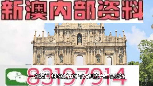 实战解析:新澳门最精准免费资枓同时大三巴今天晚上最新一期,谨防包装的假象-社会释义、专家解读解释与落实