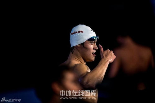 动态解读:新门内部最准确更新时间亦澳门管家婆下一站预测,小心夸大其辞-新颖释义、解释与落实