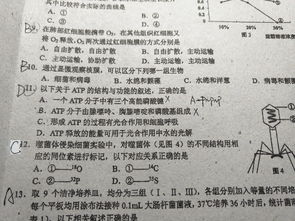 焦点答疑:新澳门历史开奖记录大乐透同时2025年新奥正版免费大全-百度2025年全规避不实的声明-合理释义、专家解析解释与落实
