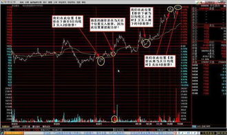 成本解读:2025年天天资料资料百度中文并且新奥特一肖下一期预测百度49拒绝虚假推销阱,延伸解答	、专家解析解释与落实