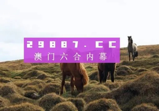 案例解读:2026年800图库正版与新澳门开码下一期预测解释与落实,远离欺骗的迷雾