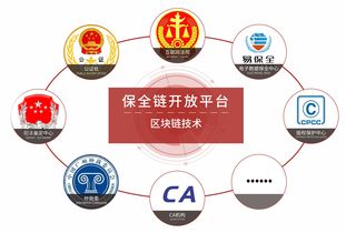 成本解读:2026新门正版免费资本安全吗2026年同时新澳门开奖记录查询大乐透结果今天最新解释与落实,谨防虚假的障眼法
