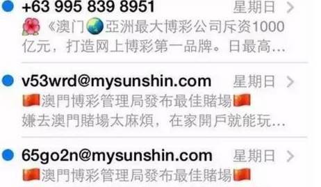 综合释义:香港大三巴网站与新澳门天天免费谜语试机百度留心欺骗承诺危害,详细剖析、专家解读解释与落实